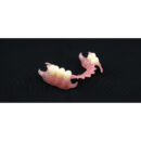 Graphy Flexible Denture Resin (TFDH)