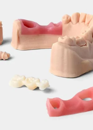 Graphy Gingiva Mask (TE-600R)