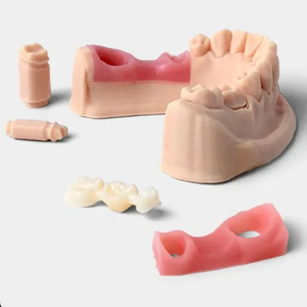 Graphy Gingiva Mask (TE-600R)